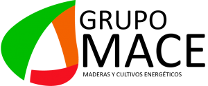 Grupo Mace